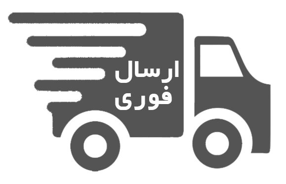 ارسال فوری